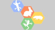 Australasian Livestock Services