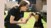 Cronulla Veterinary Clinic