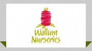 Wallum Nurseries