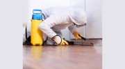 Pest Control Rosebery