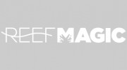 Reef Magic Cruises