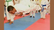 Ashihara Karate International