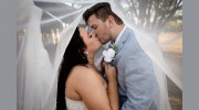 Olive Tree Photography