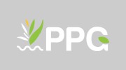 Premium Pools & Gardens