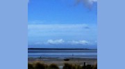 Illawong Lodge By The Sea