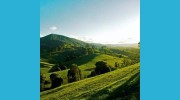 Hinterland Accounting