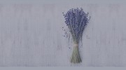 VMK Naturopath