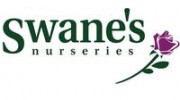 Swane's Nursery