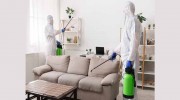 Pest Control Spring Hill