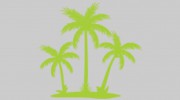 Palm Cove Car Rental
