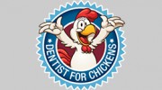 Dentist For Chickens