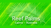 Reef Palms