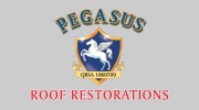 Pegasus Roof Painting