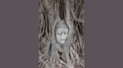 Genuine Thai Massage & Beauty
