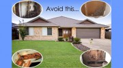 Mackay Pest Control