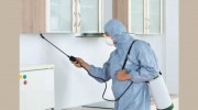 Pest Control South Yarra