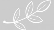 Home Care Assistance Of Gold Coast
