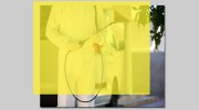 Pest Control Wanniassa