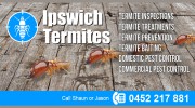 Ipswich Termites
