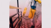 Pest Control Victoria Point