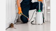 Pest Control Harrison
