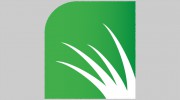 Lush Turf Solutions