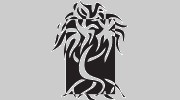 Lyons Bill Solicitors