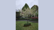 Gardens Revisited