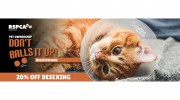 Companion Care Veterinary Surgery