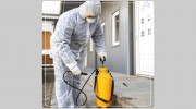 Pest Control Gisborne