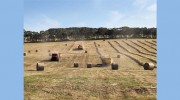 Jones Haybaling