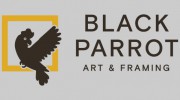 Black Parrot Art Room