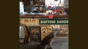 Red Ned's Salvage