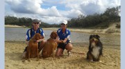 Ultimate Pet Care Sunshine Coast