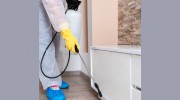 Pest Control Langwarrin