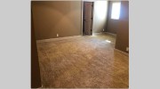 Carpet Cleaning Newstead