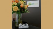 Dental Excel