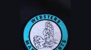 Australian Freestyle Martial Arts Academy
