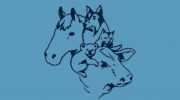 Gunnedah Sale Yards Veterinary Clinic