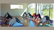 Body Connections Yoga
