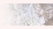 Blue Mountains Funerals