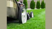 The Local Bloke Lawn & Garden Care