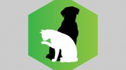 Vet-To-Pet Mobile Service