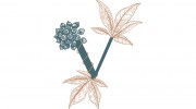 Valtality