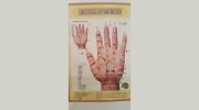 Sydney Acupuncture Clinic