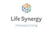 Life Synergy