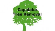 Capalaba Tree Removal