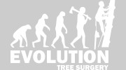Evolution Tree Surgery