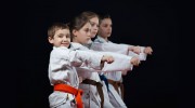 Sydney Karate Club