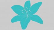 Cosmetic Refinement Clinic